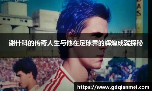 伟德bv国际体育