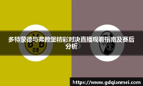 多特蒙德与弗赖堡精彩对决直播观看指南及赛后分析